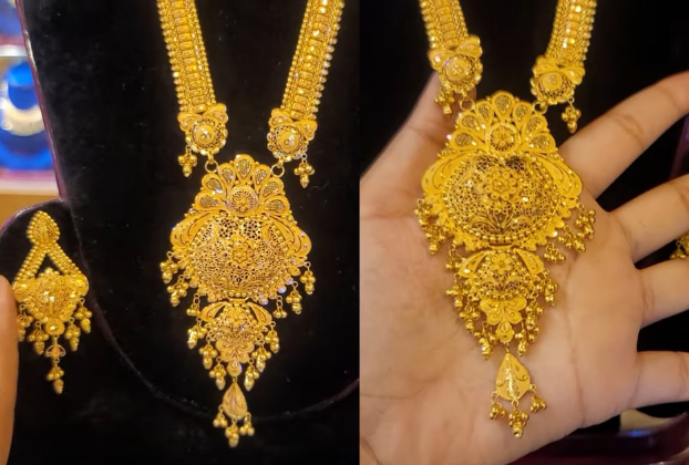 Long Mango Haram Designs in Gold 2021 || Gold Necklace