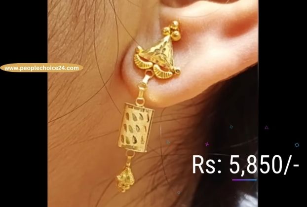 earrings price 5,860 Rs